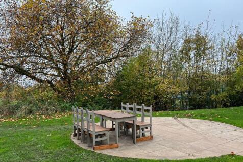 WhatsApp Image 20...