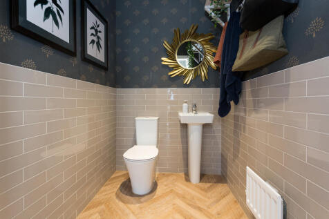 BVIWM-MARS-chestnut_19