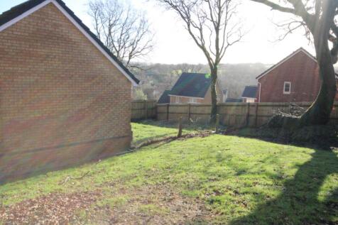 Rear Garden (3)
