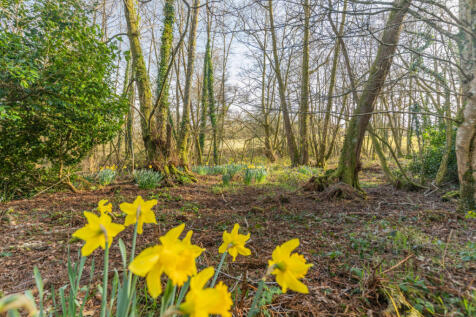 Property Image 39
