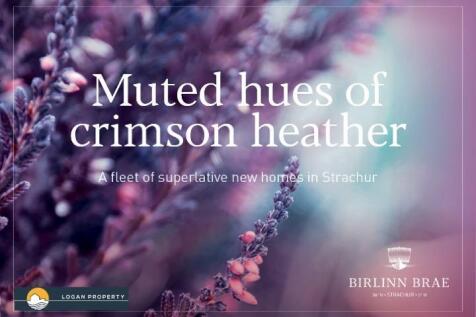 Muted hates of crimson heather.jpeg