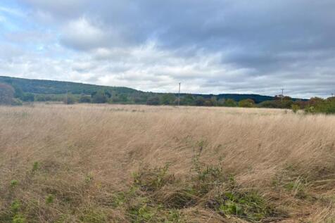 WhatsApp Image 2025-10-02 at 12.14.56_19c3e904.jpg