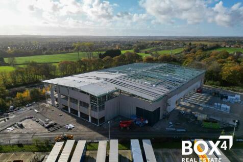 Eighty_Pan Haydock .jpg