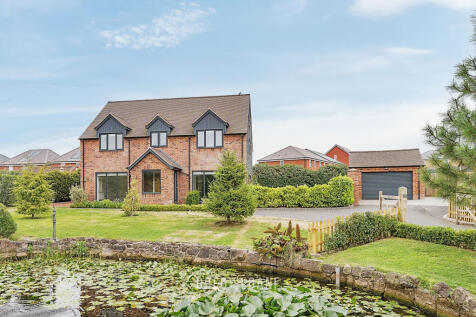 1339755-4-68a304dfb2c4d