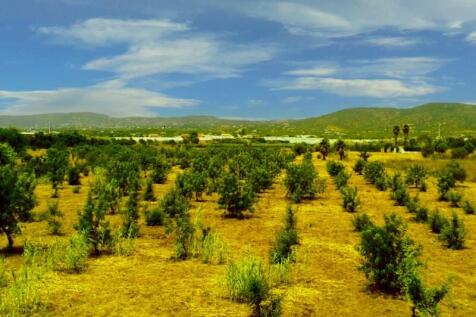 estoi, faro, algarve, sale, land, property, golden, visa, jorgeapolo