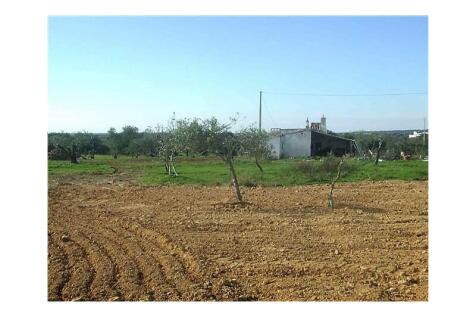 estoi, faro, algarve, sale, land, property, golden, visa, jorgeapolo