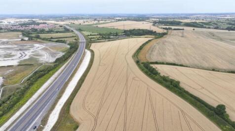 WhatsApp Image 2025-11-11 at 10.38.48 AM (3).jpeg