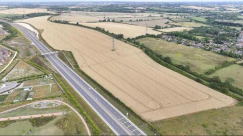 WhatsApp Image 2025-11-11 at 10.38.49 AM.jpeg