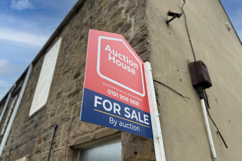 IMG 6162 T202510221004.jpg