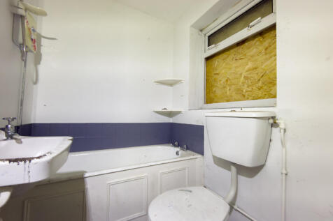 IMG 5889 T202510131005.jpg