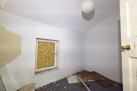 IMG 5901 T202510131005.jpg