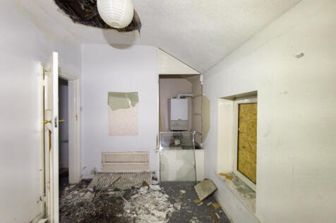 IMG 5905 T202510131005.jpg