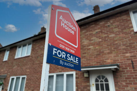 IMG 8006 T202511191825.jpg