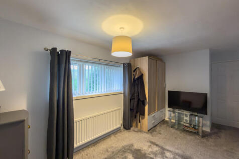 IMG 7987 T202511191825.jpg