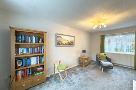 IMG 7959 T202511191825.jpg