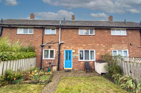 IMG 7976 T202511191825.jpg