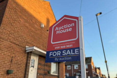 IMG 7917 T202511201510.jpg