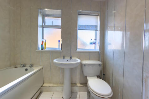 IMG 7903 T202511201510.jpg