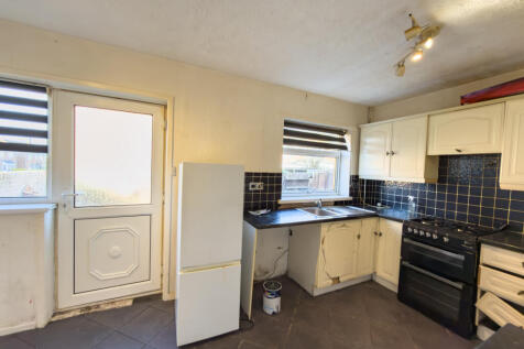 IMG 7887 T202511201510.jpg