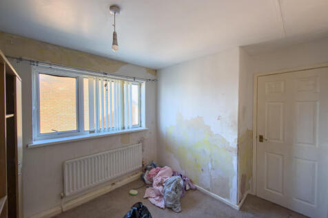 IMG 7902 T202511201510.jpg