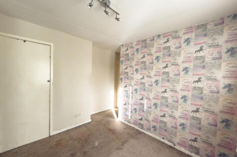 IMG 7898 T202511201510.jpg