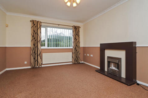 IMG 0727-38163575 T202511241738.jpg