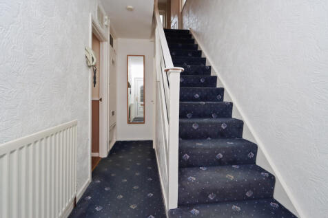 IMG 0732-38163580 T202511241738.jpg