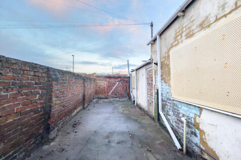 IMG 8384 T202511261752.jpg