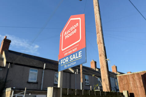 IMG 8703 T202512031247.jpg