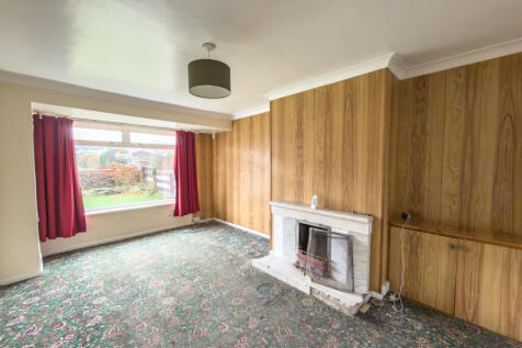 IMG 8973 T202512081125.jpg