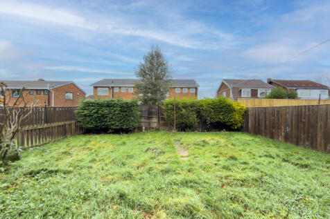 IMG 8996 T202512081125.jpg