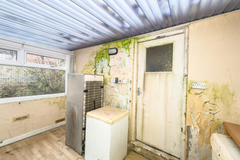 IMG 9322 T202512121005.jpg