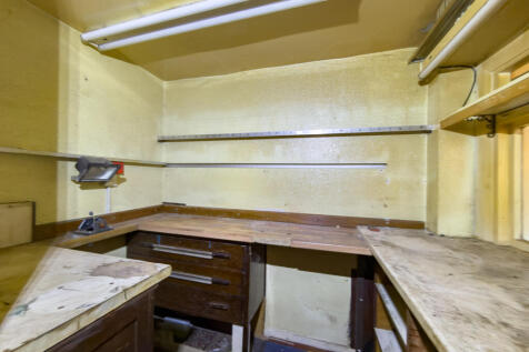 IMG 8809 T202512101822.jpg