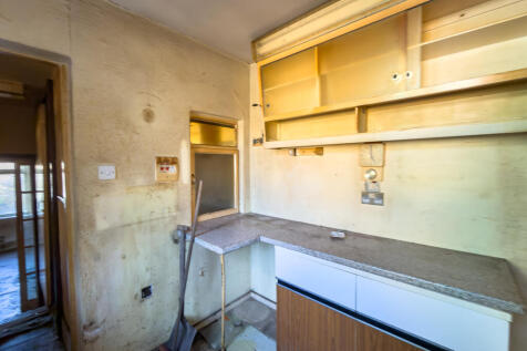 IMG 8813 T202512101822.jpg