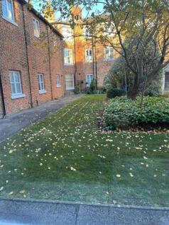 Cardinal Mew - 4.jpg