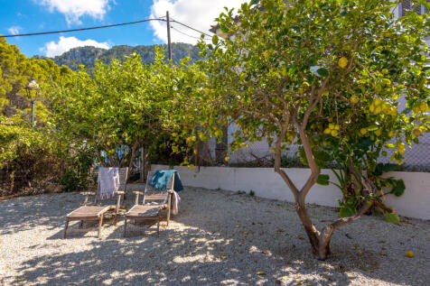 Terrace with lemon trees