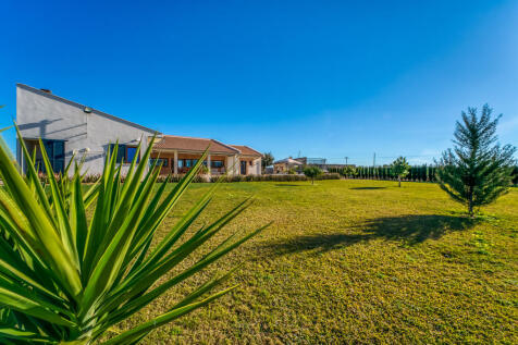 finca-sa-pobla-garten-palmen