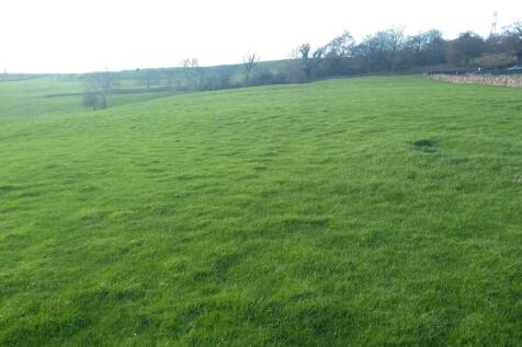 LOT 8: 3.30 Acres Paddock