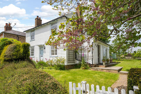 mr-catts-iden-tn3...