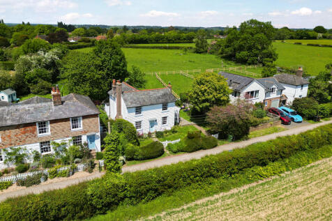 mr-catts-iden-tn3...