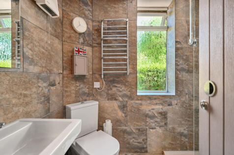 Tawny Pipits tn35...