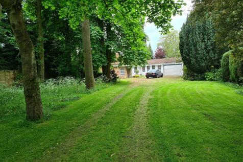 Grounds: