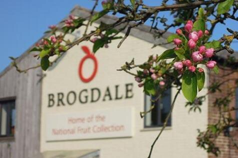 Brogdale Collections.jpg