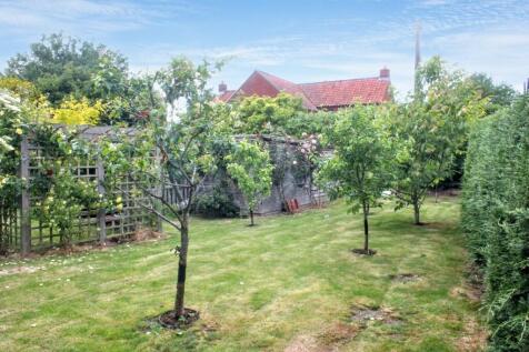 Fruit Trees