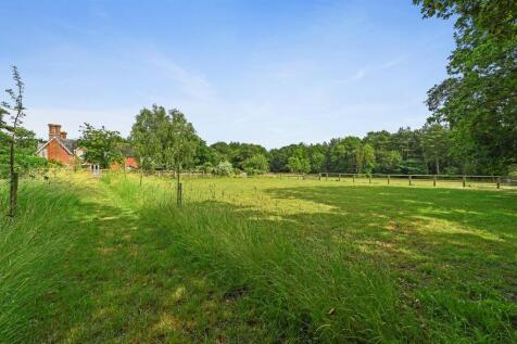 PT-CJ-Holmwood-32.jpg