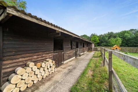 PT-CJ-Holmwood-20.jpg