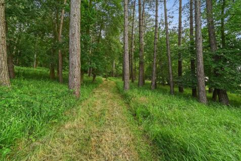 PT-CJ-Holmwood-34.jpg