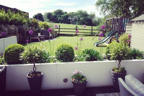 Garden Summer Shot