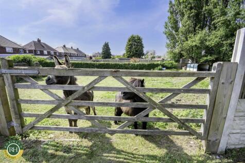 rear views (paddock not included)