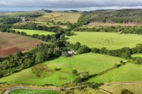 Aeriel View